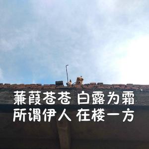 精品一区二区三区三区喷水无码
